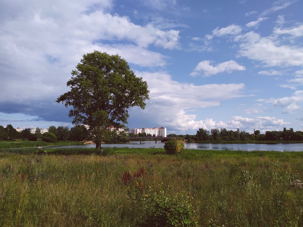 Как фотографировать на бюджетный смартфон и получать хорошие фотографии