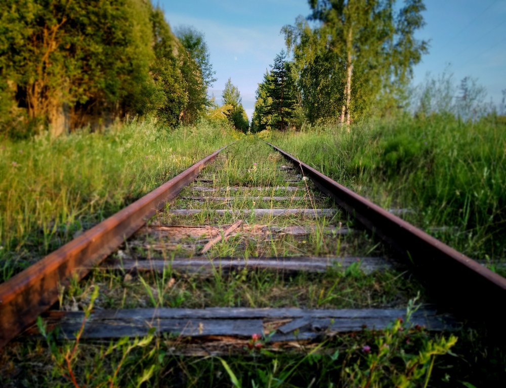 Как фотографировать на бюджетный смартфон и получать хорошие фотографии