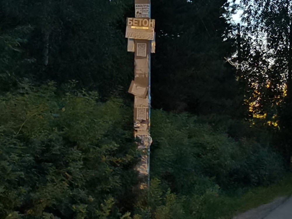 Обзор Honor 20 Pro: мощный камерофон, который хотел стать максимально бюджетным фото