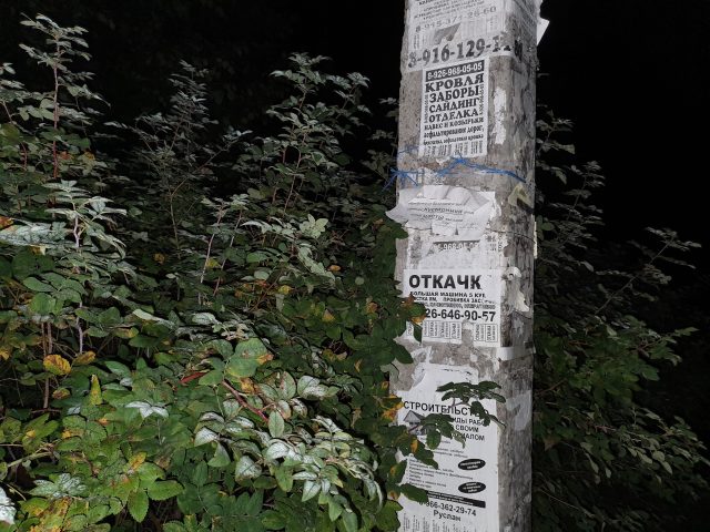 Обзор Samsung Galaxy Note 10 Plus: смартфон с отличной камерой, идеальными изгибами и скрытыми недостатками фото