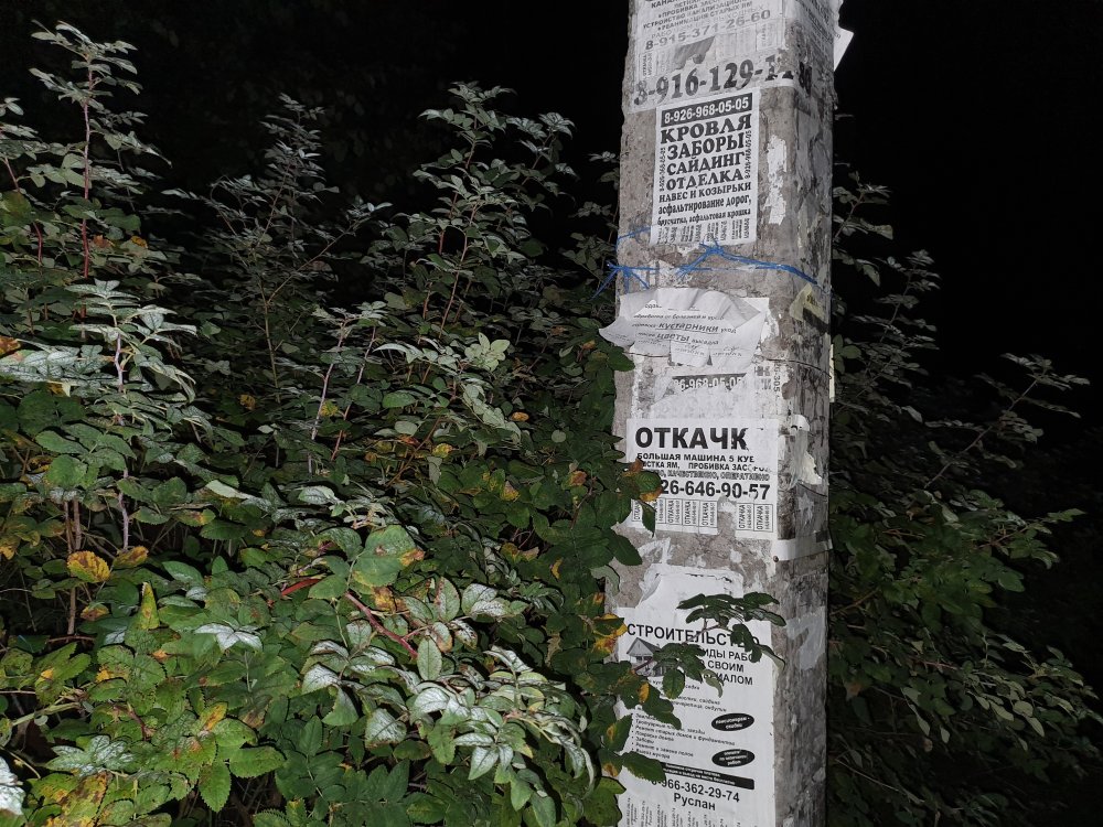 Обзор Samsung Galaxy Note 10 Plus: смартфон с отличной камерой, идеальными изгибами и скрытыми недостатками фото