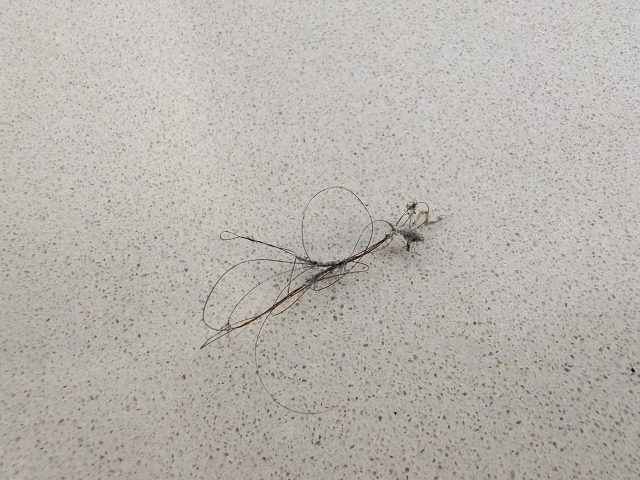 Предварительный обзор Vivo Nex 3: удивительный смартфон со «стекающим» экраном и полностью сенсорным управлением фото