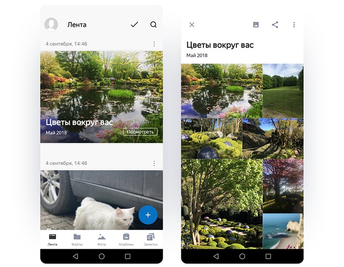 «Яндекс.Диск» превратился в умную фотогалерею с и научился автоматически выбирать самые лучшие снимки