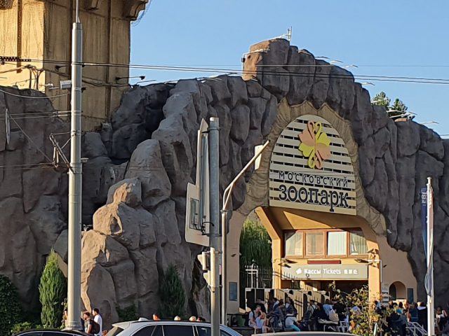 Обзор Samsung Galaxy Note 10 Plus: смартфон с отличной камерой, идеальными изгибами и скрытыми недостатками фото