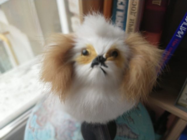 Обзор Vivo V17: яркий смартфон с отличной камерой и другими сюрпризами фото