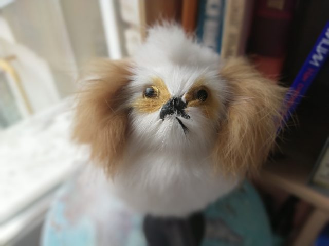 Обзор Vivo V17: яркий смартфон с отличной камерой и другими сюрпризами фото