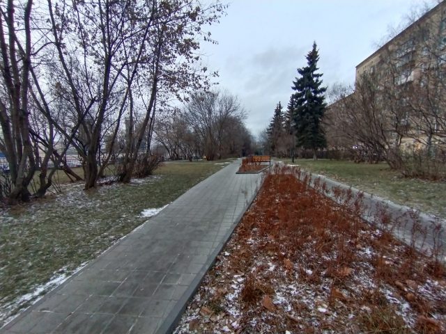 Обзор Vivo V17: яркий смартфон с отличной камерой и другими сюрпризами фото