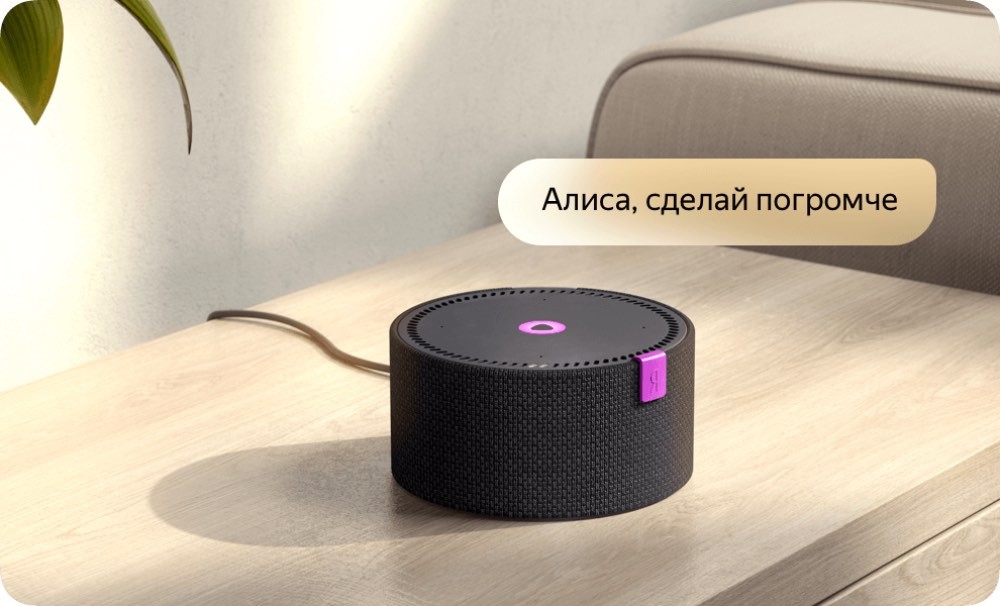 От сессии до сессии: 5 отличных гаджетов для студентов, о которых вы не подумали картинка Яндекс. Станция Мини