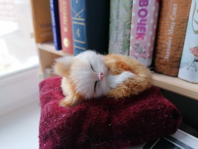 Как выбрать смартфон? 7 вещей, о которых вас «забудут» предупредить в магазине картинка Как выбрать смартфон? 7 вещей, о которых вас «забудут» предупредить в магазине фото