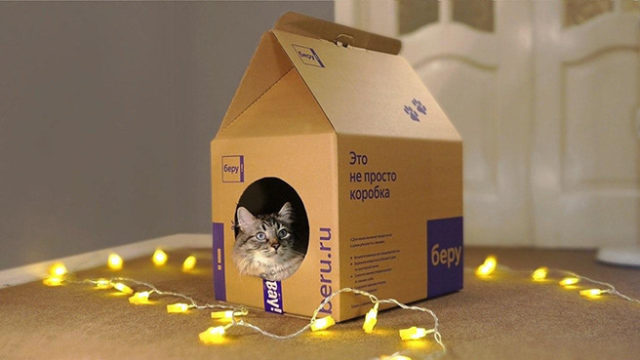 62236Маркетплейс «Беру» разработал коробки для товаров, которые можно превратить в домики для кошек