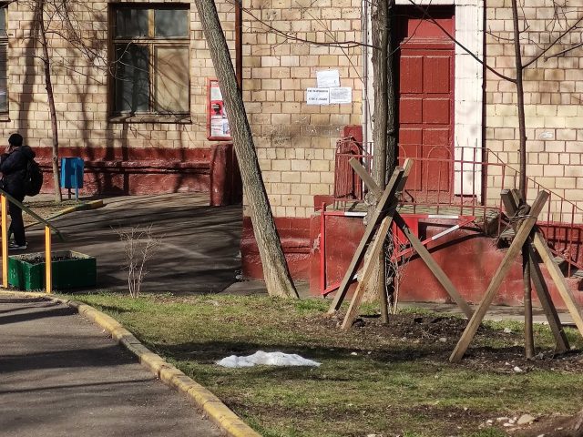 Какой смартфон снимает лучше: сравниваем Samsung Galaxy S20 Ultra с Huawei P30 Pro и Mi Note 10 фото