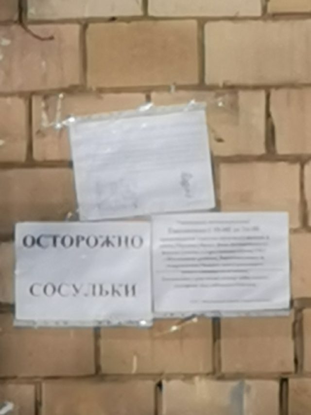 Какой смартфон снимает лучше: сравниваем Samsung Galaxy S20 Ultra с Huawei P30 Pro и Mi Note 10 фото