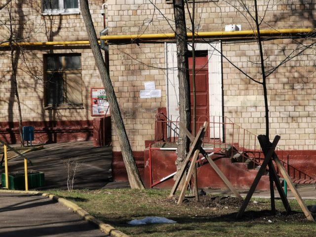 Какой смартфон снимает лучше: сравниваем Samsung Galaxy S20 Ultra с Huawei P30 Pro и Mi Note 10 фото