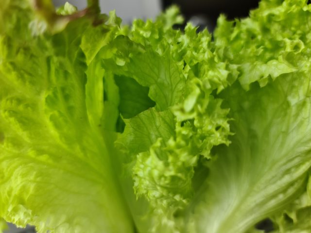 Какой смартфон снимает лучше: сравниваем Samsung Galaxy S20 Ultra с Huawei P30 Pro и Mi Note 10 фото