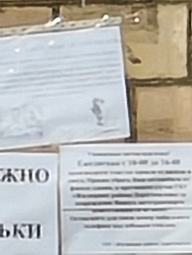 Какой смартфон снимает лучше: сравниваем Samsung Galaxy S20 Ultra с Huawei P30 Pro и Mi Note 10 фото