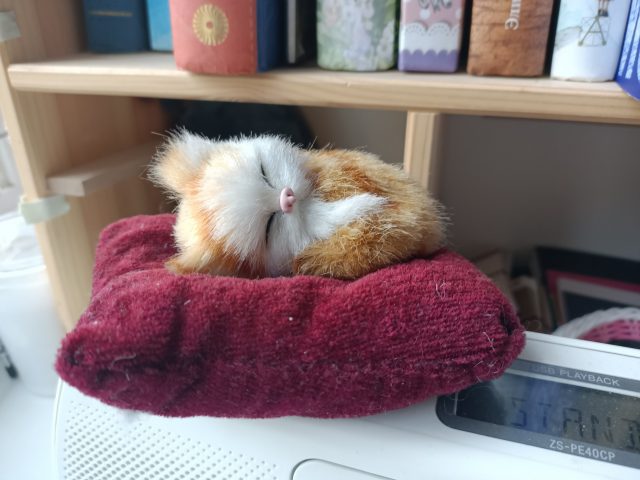 Обзор Oppo Reno3: еще одна альтернатива самым популярным смартфонам этого года фото