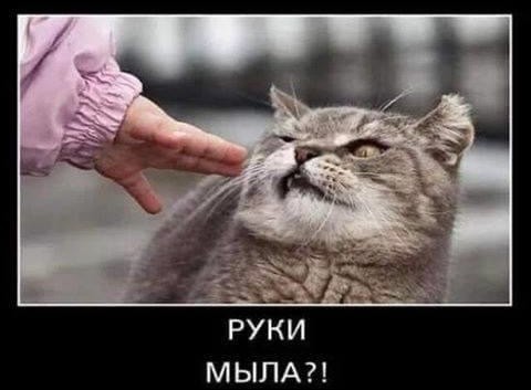 «У вас маска отклеилась»: самые веселые шутки на тему коронавируса и самоизоляции