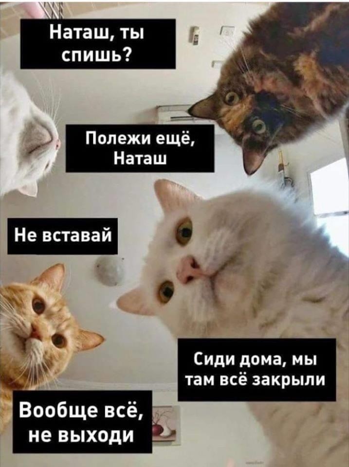 «У вас маска отклеилась»: самые веселые шутки на тему коронавируса и самоизоляции