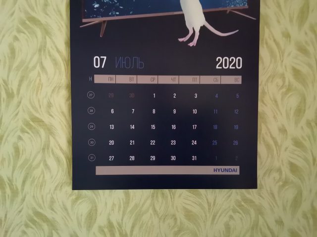 Обзор планшета Huawei MatePad 10.4: больше динамиков и микрофонов! фото