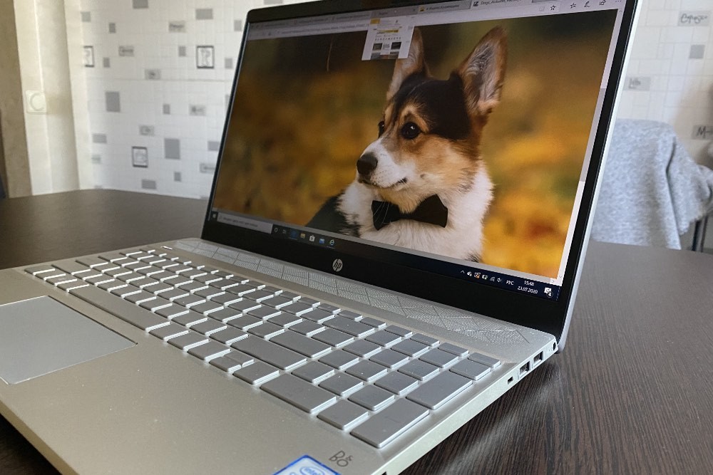 Обзор HP Pavilion 15-cs1006ur: быстрый ноутбук на процессоре Intel фото