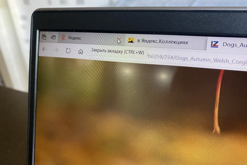 Обзор HP Pavilion 15-cs1006ur: быстрый ноутбук на процессоре Intel фото