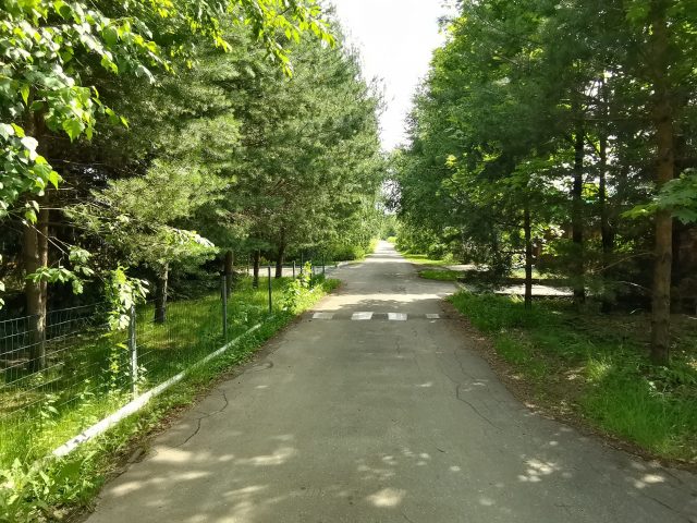 Обзор планшета Huawei MatePad 10.4: больше динамиков и микрофонов! фото