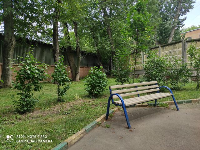 Какой смартфон снимает лучше: сравнение камер трех популярных смартфонов с камерами 64 мп фото