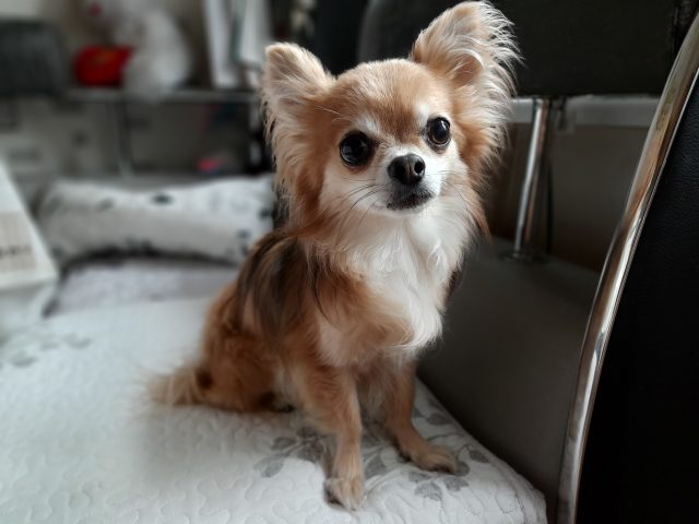 Какой смартфон снимает лучше: сравнение камер трех популярных смартфонов с камерами 64 мп фото