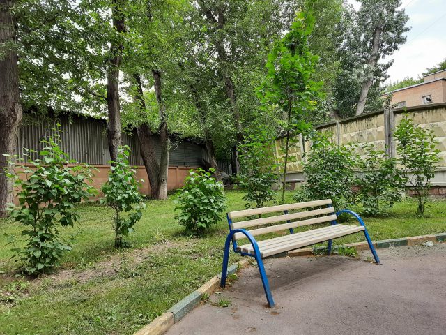 Какой смартфон снимает лучше: сравнение камер трех популярных смартфонов с камерами 64 мп фото