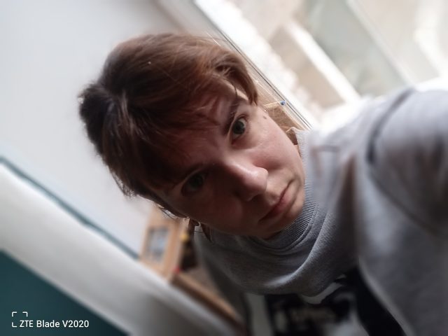 Обзор ZTE Blade V2020: смартфон, который старался всем угодить фото