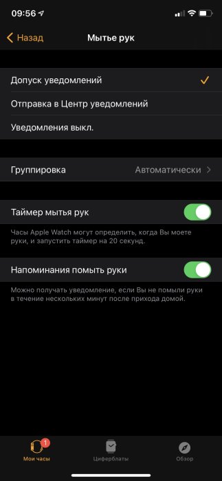 Обзор Apple Watch Nike Series 6: умные часы с датчиком кислорода крови фото