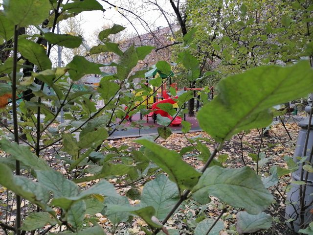 Обзор Honor 10X Lite: демократичный смартфон с огромным аккумулятором и быстрой зарядкой фото