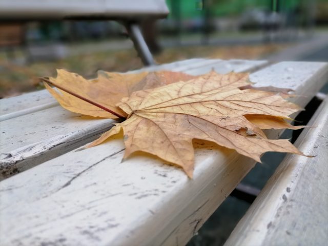 Обзор Honor 10X Lite: демократичный смартфон с огромным аккумулятором и быстрой зарядкой фото