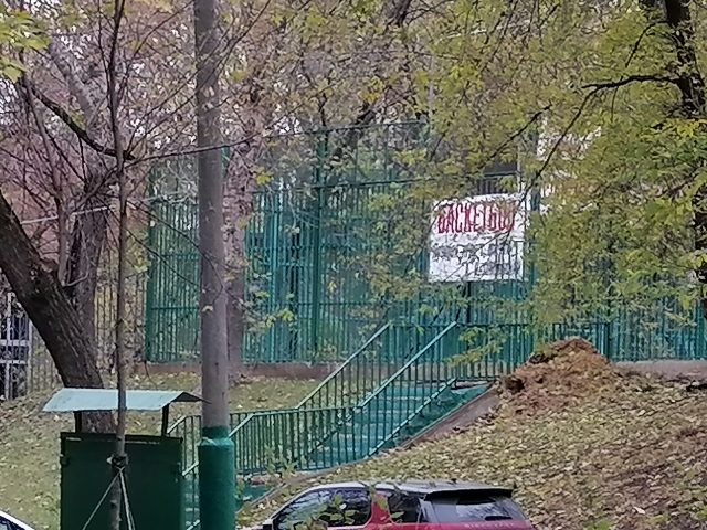 Обзор Honor 10X Lite: демократичный смартфон с огромным аккумулятором и быстрой зарядкой фото