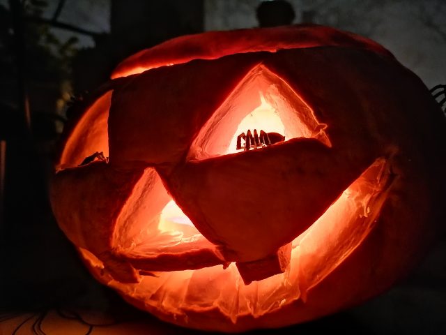 Обзор Honor 10X Lite: демократичный смартфон с огромным аккумулятором и быстрой зарядкой фото