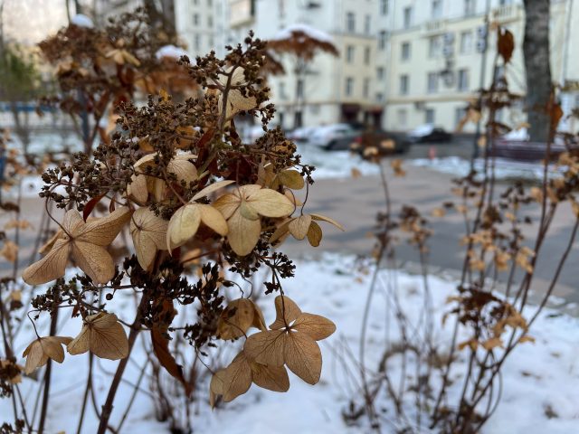 Обзор iPhone 12 Mini: вышло ли у Apple создать «маленькое чудо»? фото