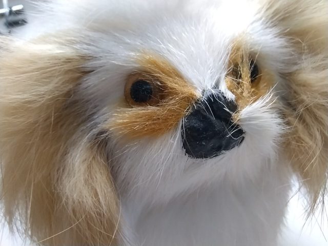 Обзор Vivo Y31: самого доступного (пока) смартфона на Android 11 фото