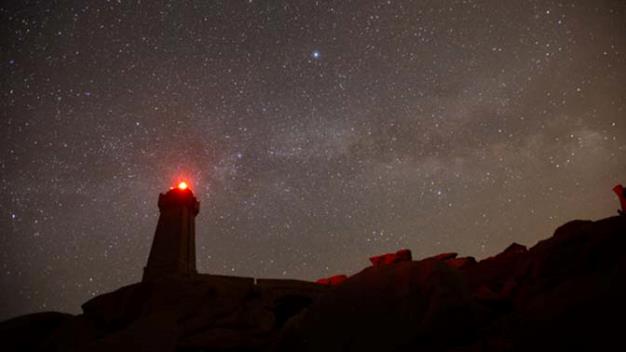 Искусственный интеллект: NVIDIA и Adobe фото