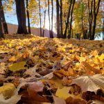 Обзор Samsung Galaxy Z Fold 3: гибрид смартфона и планшета с камерой-невидимкой картинка Обзор Samsung Galaxy Z Fold 3: гибрид смартфона и планшета с камерой-невидимкой фото