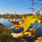 Обзор Samsung Galaxy Z Fold 3: гибрид смартфона и планшета с камерой-невидимкой картинка Обзор Samsung Galaxy Z Fold 3: гибрид смартфона и планшета с камерой-невидимкой фото