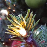 Обзор Honor 50: без Huawei, зато с Google фото