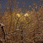 Обзор Honor 50: без Huawei, зато с Google фото