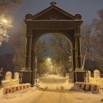 Обзор Honor 50: без Huawei, зато с Google фото