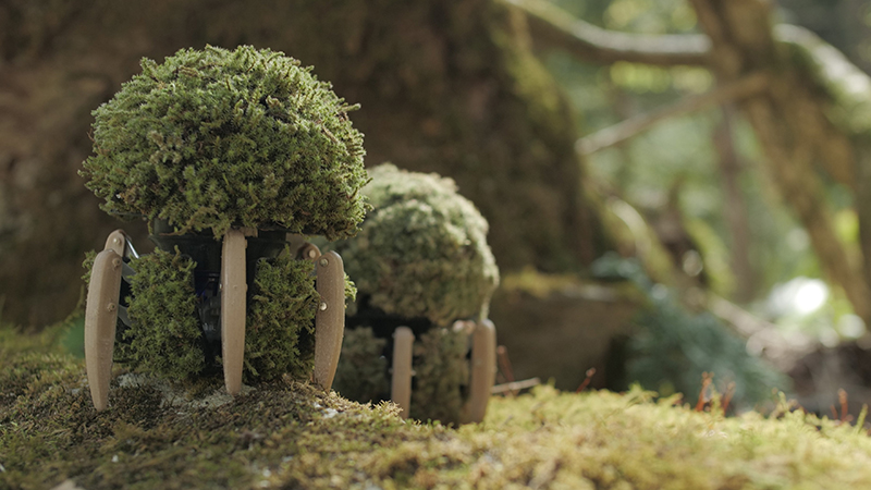 180476Panasonic разработала робота в виде горшка со мхом