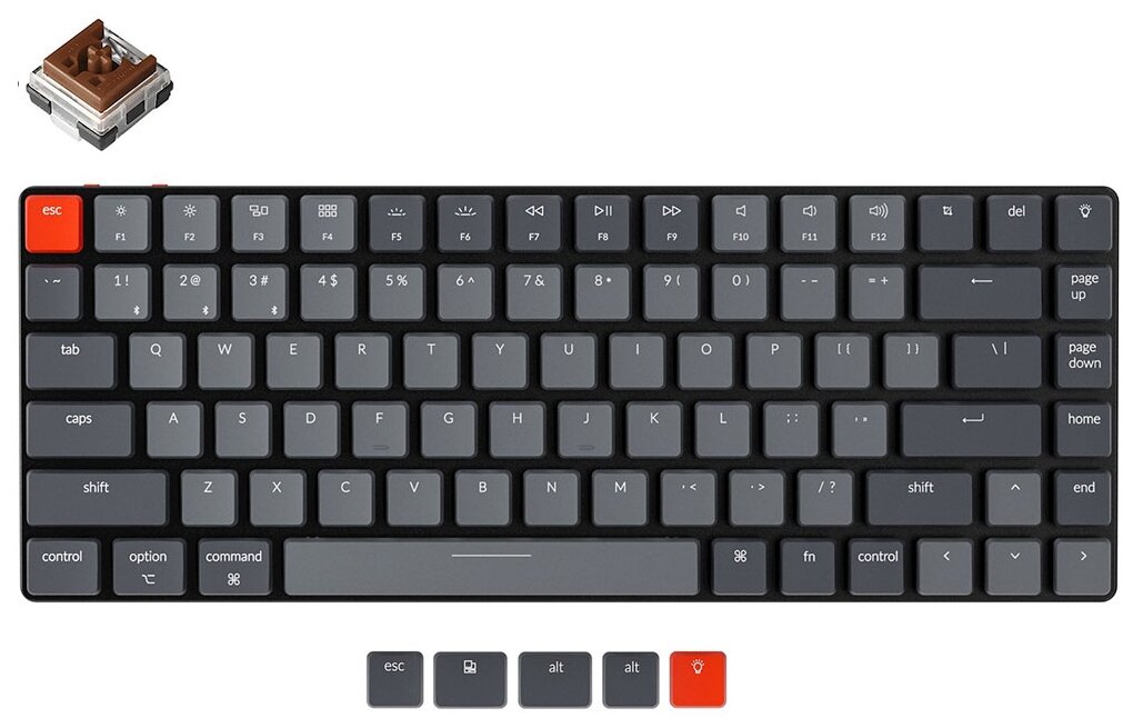 Лучшие в 2022 году: беспроводные клавиатуры фото