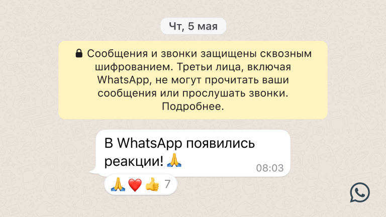 251356В WhatsApp появились реакции и функция отправки файлов объемом до 2 Гбайт