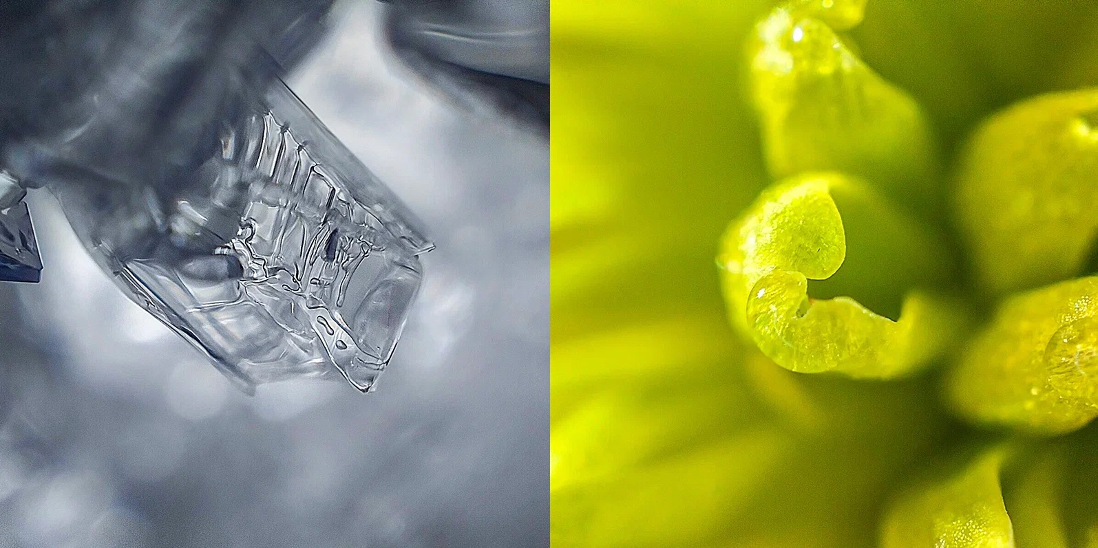 OPPO представляет Reno7: смартфон с уникальными возможностями камеры фото