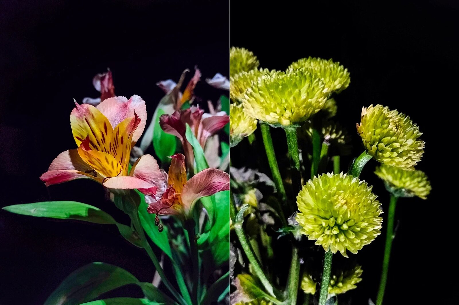 OPPO представляет Reno7: смартфон с уникальными возможностями камеры фото