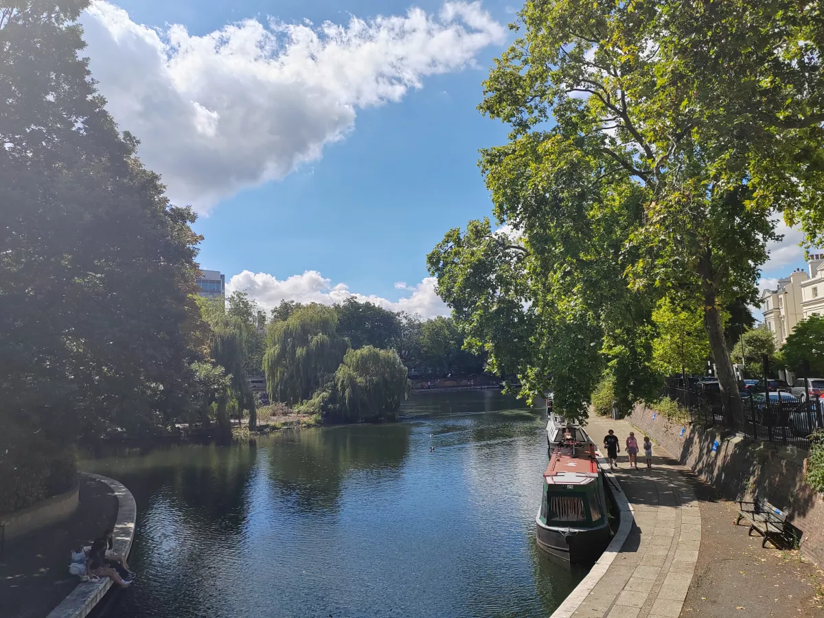 Обзор Honor 70 фото