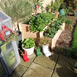 Обзор Blackview BV7100 картинка Blackview BV7100